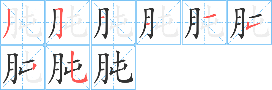 肫字笔画写法