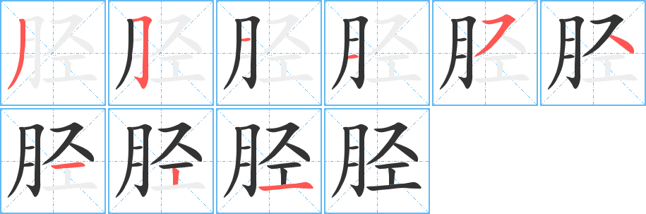 胫字笔画写法