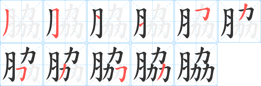 脇字笔画写法